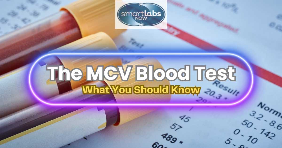 MCV Blood Test - Complete Guide