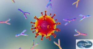 Immune Response: Antibody + Antigen Interaction