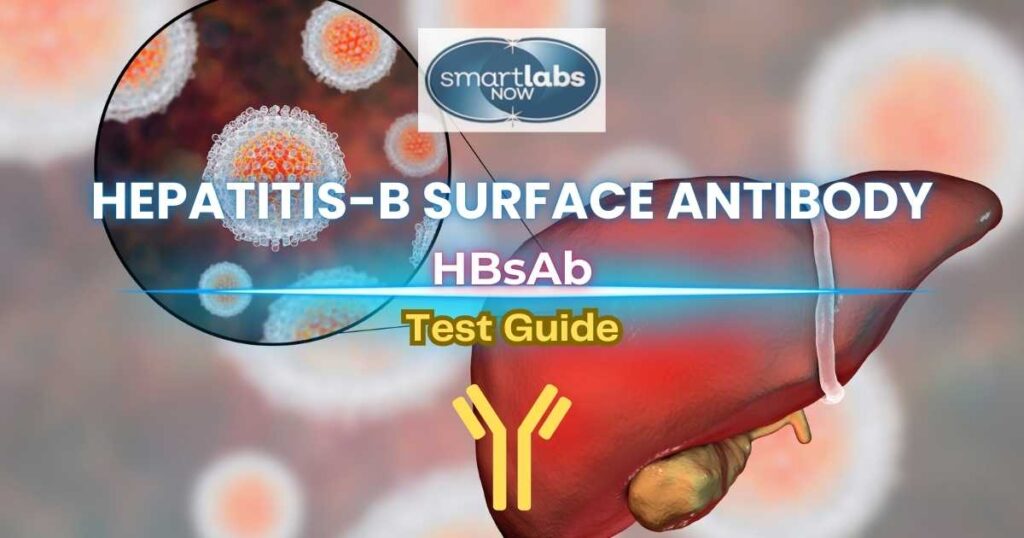 HBsAb Testing Guide