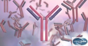 Hepatitis B Surface Antibodies Graphical Depiction