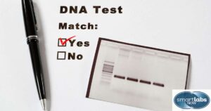 Sibling and other DNA test results tend to be highly accurate - especially with a larger number of related test samples.