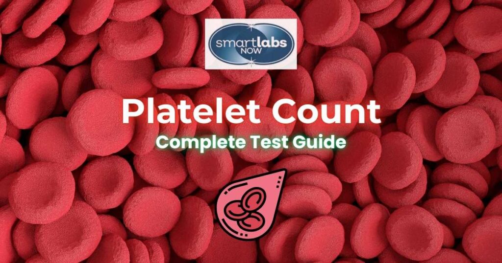 Platelet Count - CBC Test Guide