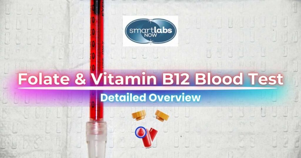 Folate and Vit B12 Blood Test Guide