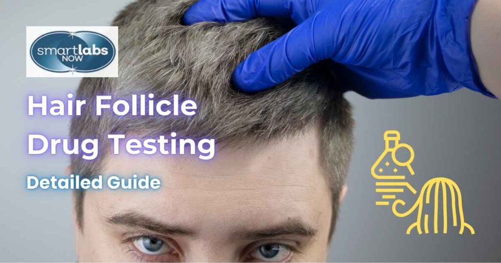 Hair Drug Testing Guide