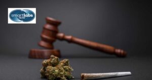 A court-room hammer next to a marijuana joint (symbolizing the drug regulatory process).