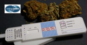 A urine drug test kit next to a lump of marijuana.