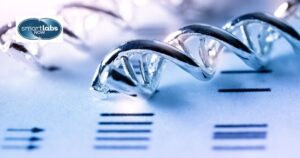 DNA testing is highly reliable, with industry-accepted standards ensuring precision. 