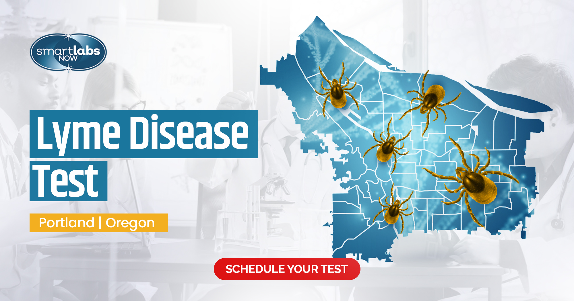 Lyme disease is a tick-borne illness caused by the bacterium Borrelia burgdorferi, affecting hundreds of thousands of people each year in the United States.